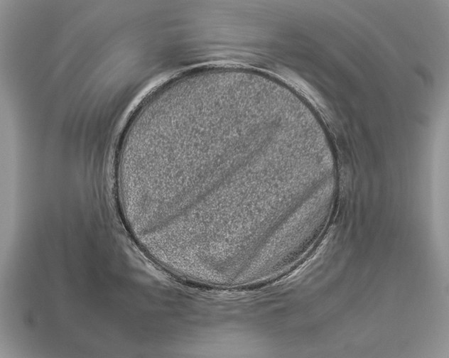 X0000112931240200909211107