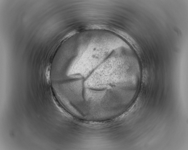 X0000112931241200909211107