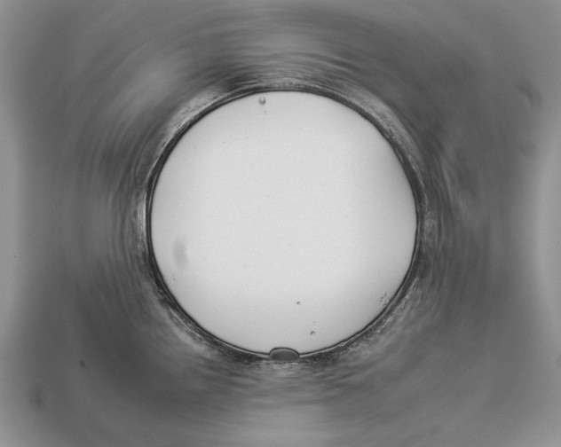 X0000112931242200909211107