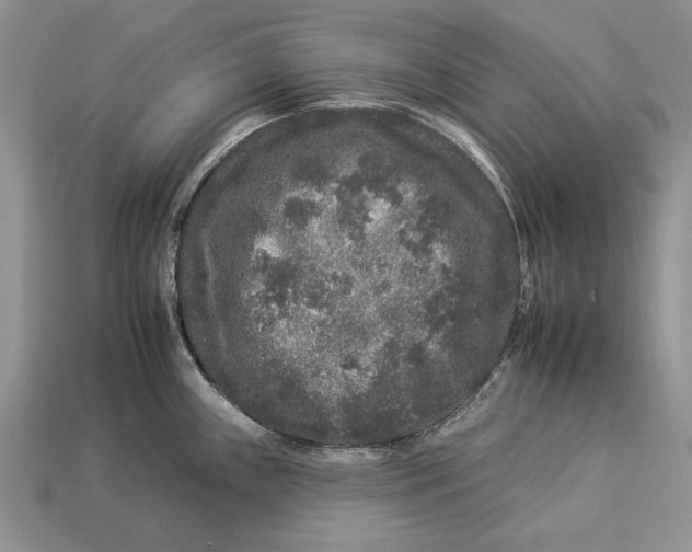 X0000112931243200909211107