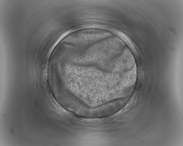 X0000112931244200909211107