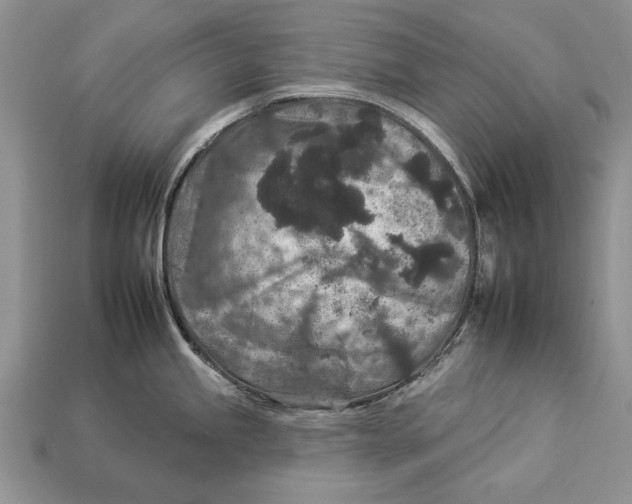 X0000112931245200909211107