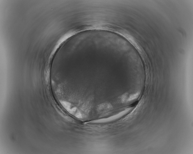 X0000112931246200909211107