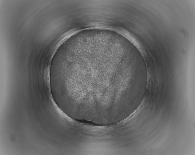 X0000112931247200909211107