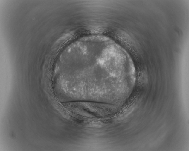 X0000112931249200909211106