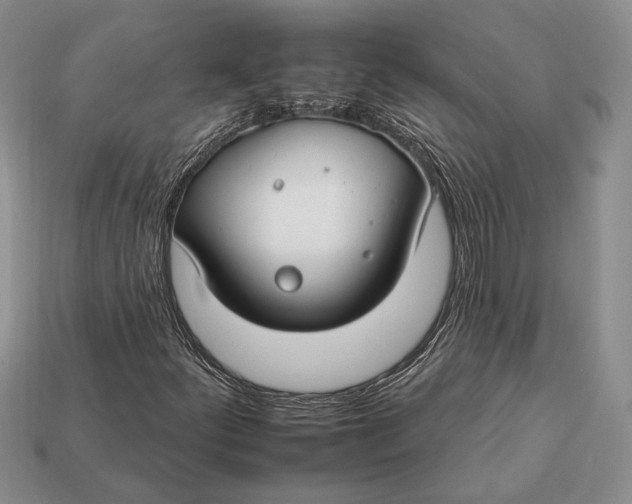 X0000112931252200909211106