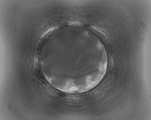 X0000112931254200909211106