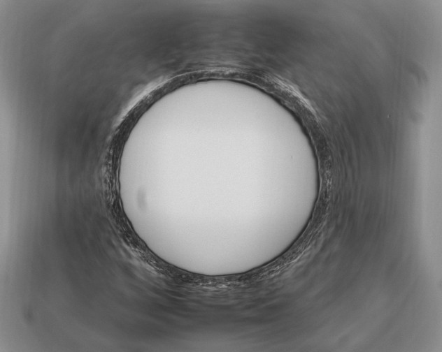 X0000112931256200909211106