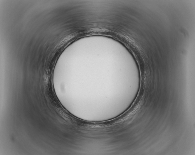 X0000112931257200909211106