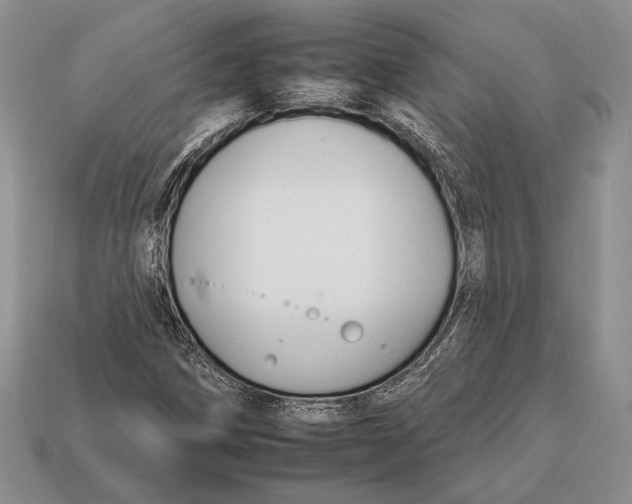 X0000112931258200909211106