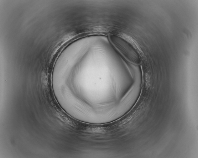 X0000112931260200909211106