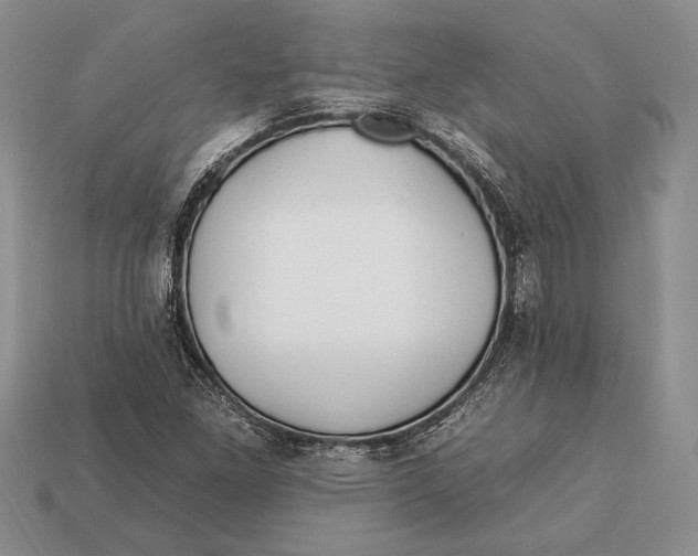 X0000112931261200909211106