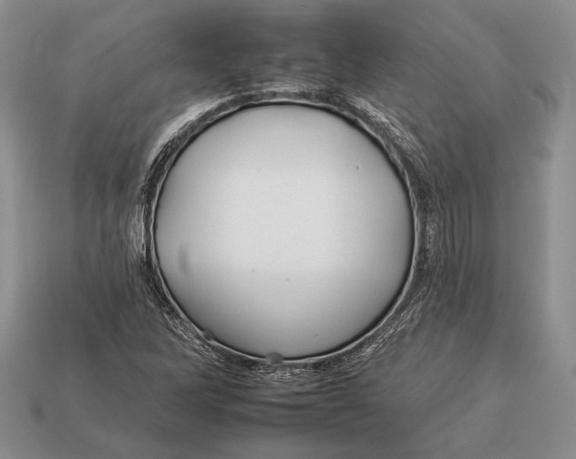 X0000112931262200909211106