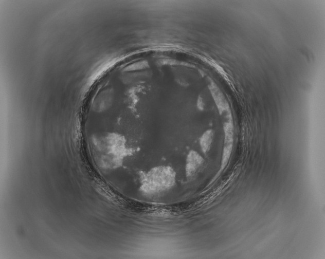 X0000112931263200909211106