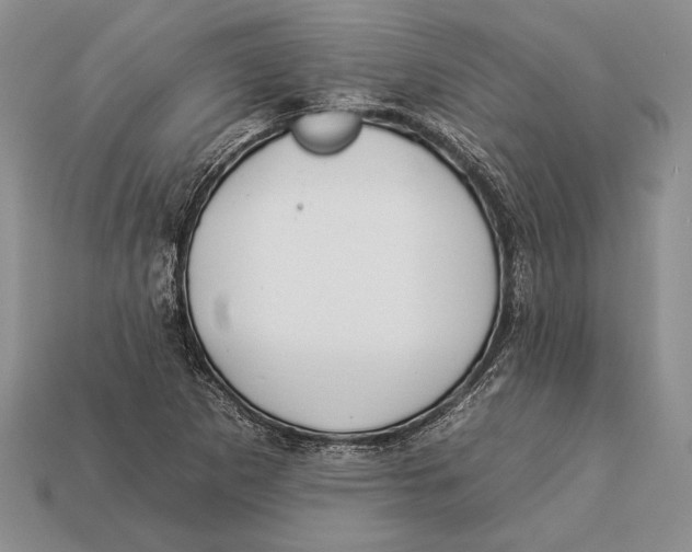 X0000112931265200909211106