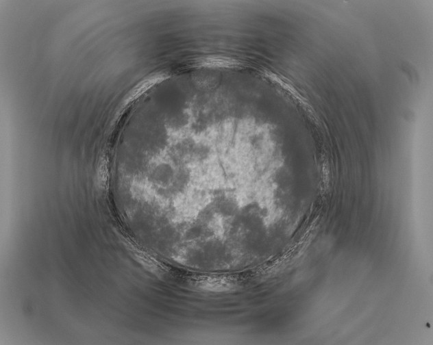 X0000112931266200909211106