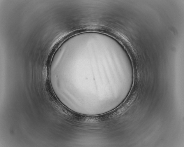 X0000112931267200909211106