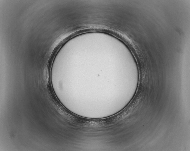 X0000112931271200909211106
