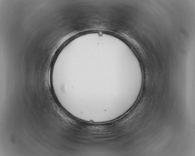 X0000112931272200909211106