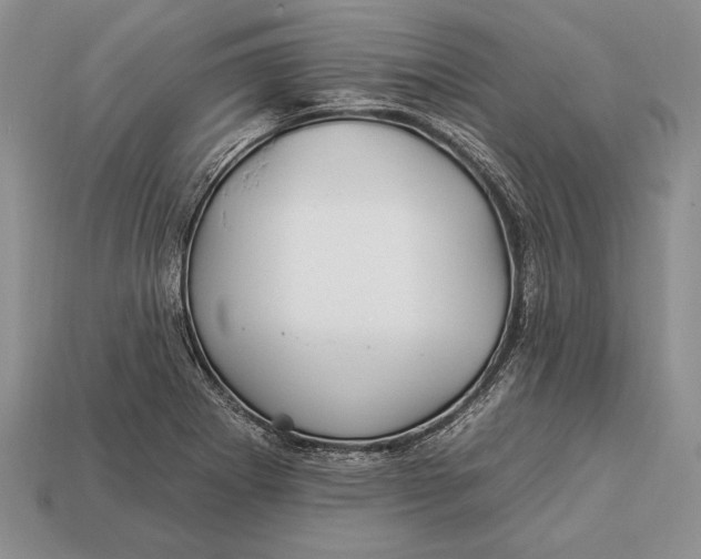 X0000112931273200909211106