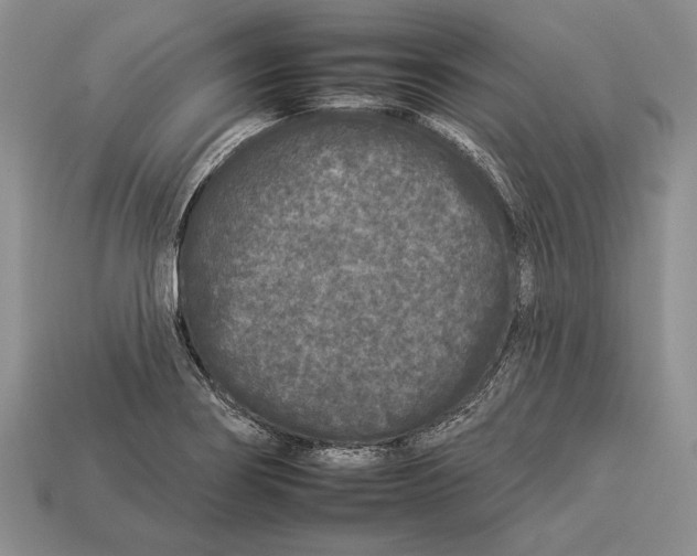 X0000112931274200909211106