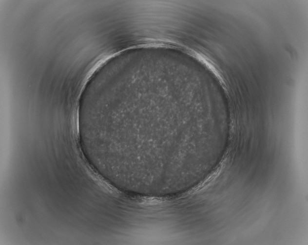 X0000112931275200909211106