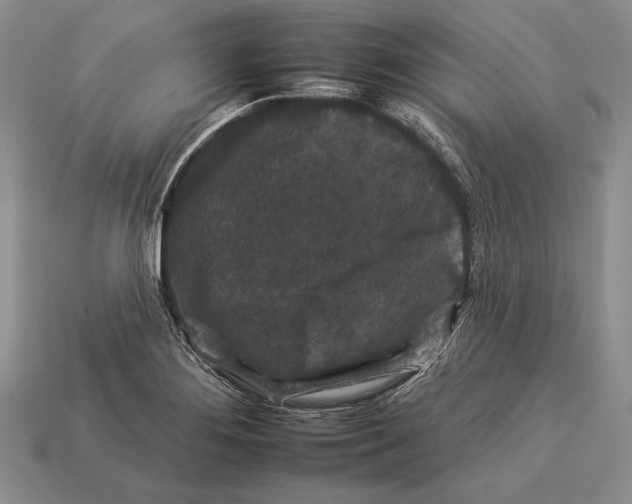 X0000112931276200909211106