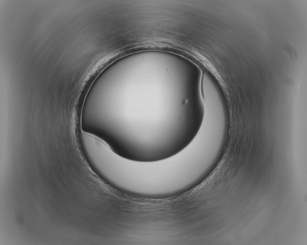X0000112931277200909211106