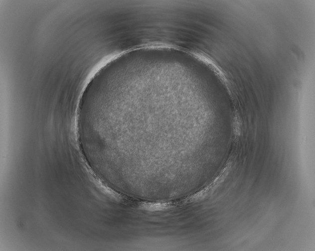X0000112931278200909211106