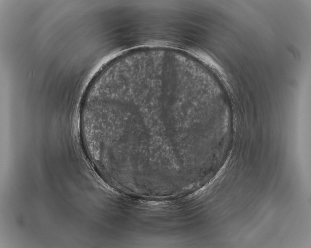 X0000112931280200909211106