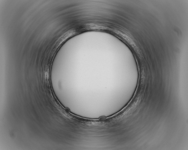 X0000112931281200909211106
