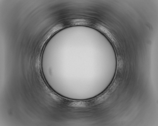X0000112931282200909211106