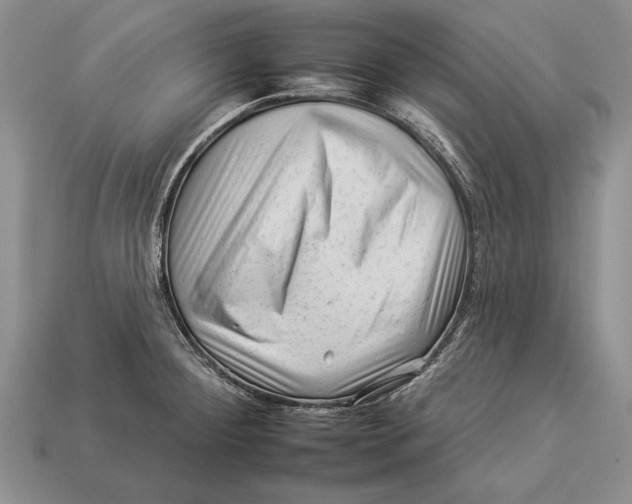 X0000112931284200909211106