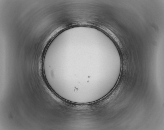 X0000112931285200909211106