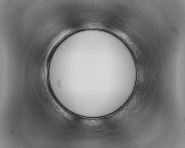 X0000112931286200909211106