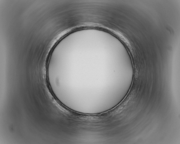 X0000112931287200909211106