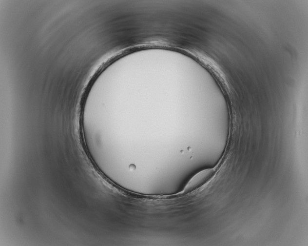 X0000112931288200909211106