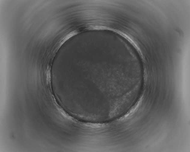 X0000112931289200909211106