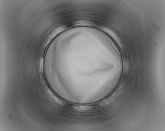 X0000112931290200909211106