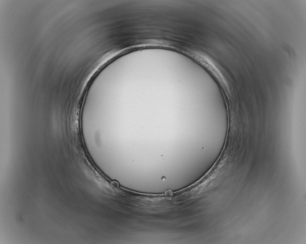X0000112931292200909211106