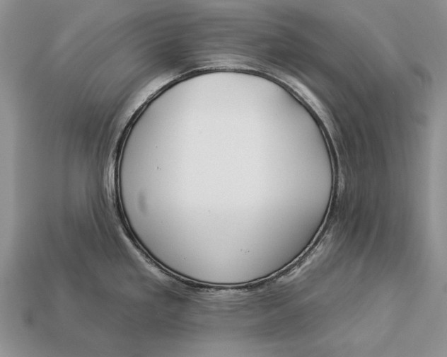 X0000112931293200909211106