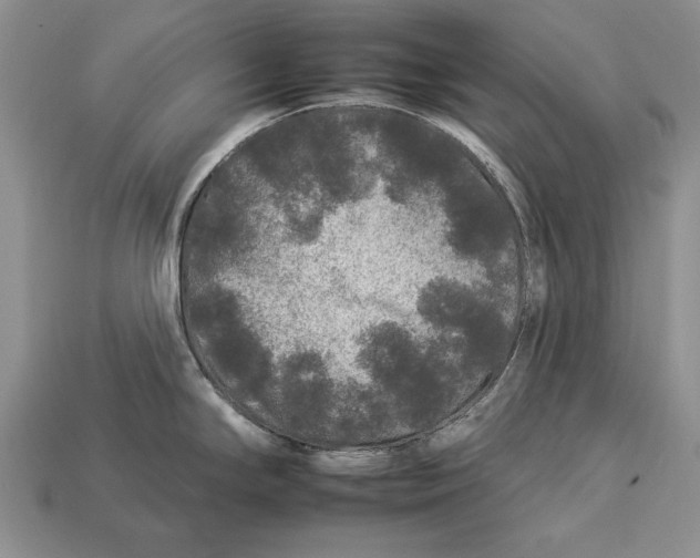 X0000112931294200909211106