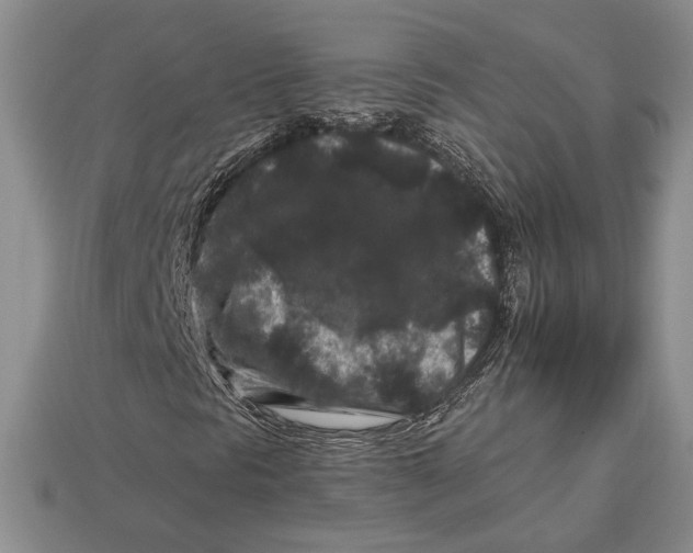 X0000112931297200909211105