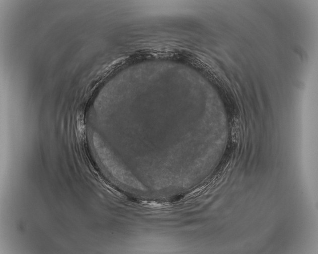 X0000112931298200909211105