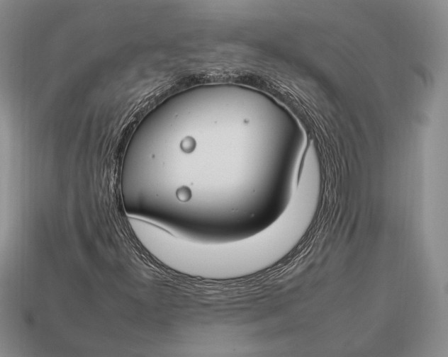 X0000112931300200909211105