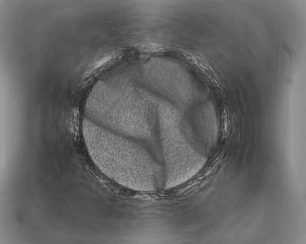 X0000112931301200909211105