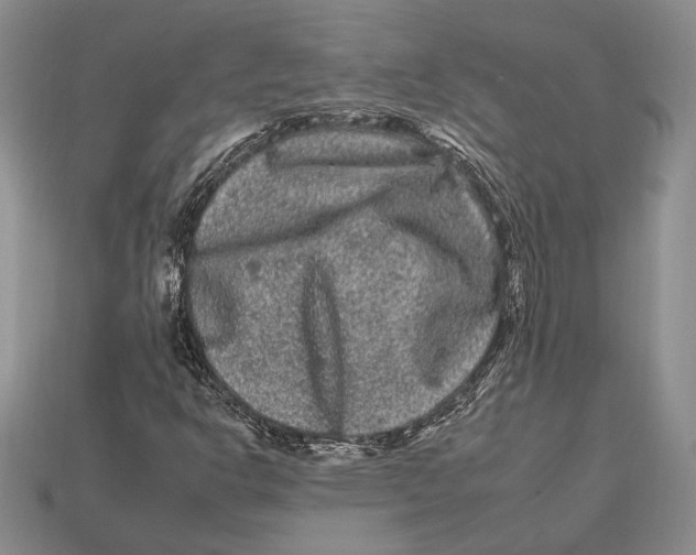 X0000112931302200909211105