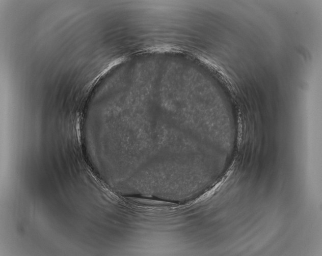 X0000112931305200909211105