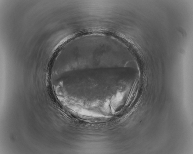 X0000112931306200909211105