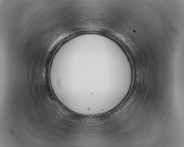 X0000112931307200909211105